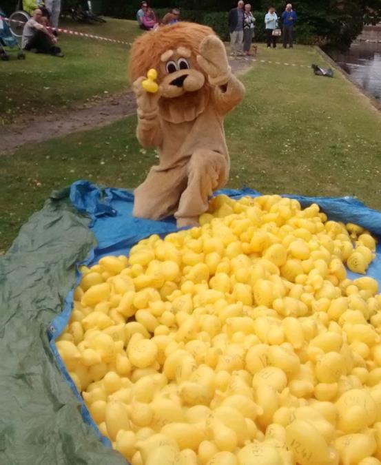 Roary giving the ducks a pep talk just before the race